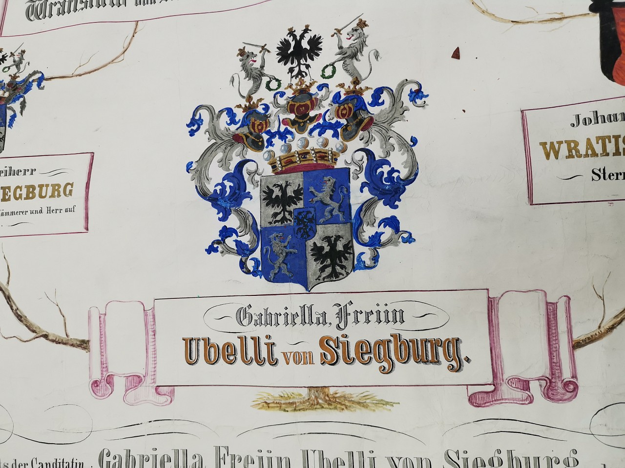 Strom života Ubelli von Siegburg 1866